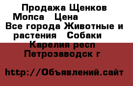 Продажа Щенков Мопса › Цена ­ 18 000 - Все города Животные и растения » Собаки   . Карелия респ.,Петрозаводск г.